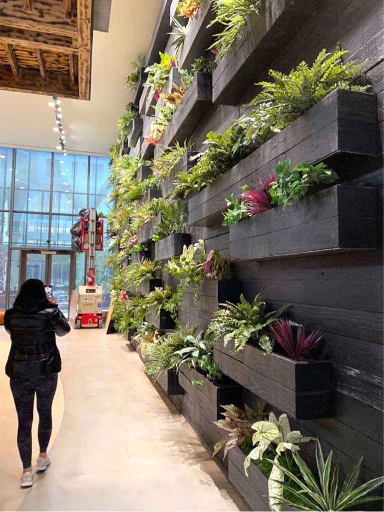Horticultural Creations Inc of New York City Denizen lobby green wall installation