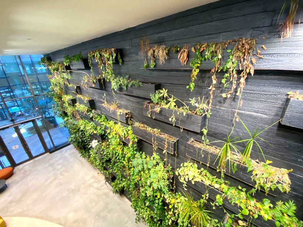 Horticultural Creations Inc of New York City Denizen lobby green wall installation