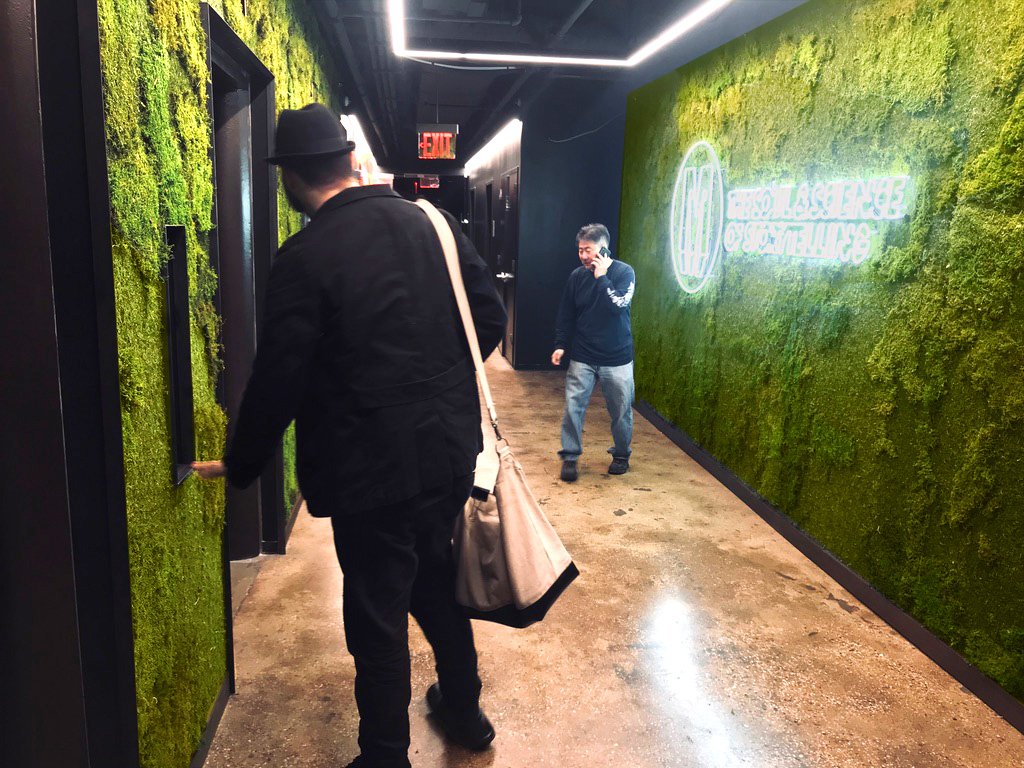 Horticultural Creations Inc of New York City moss wall creation for a client